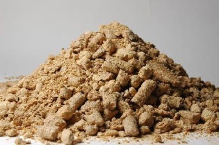 Исследование: ГМ корма вредны для репродуктивной системы животных