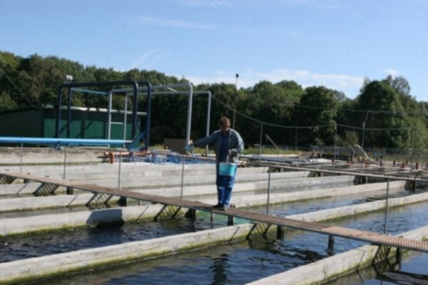 Рыбное хозяйство Смоленской области