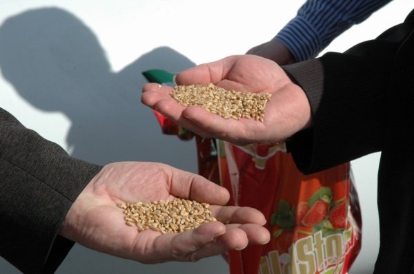 Свыше 900 тыс. рублей выделено на поддержку сельскохотрасли Карачаево-Черкесии в 2010 году