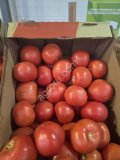 Помидоры Розовые