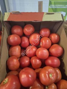 Помидоры Розовые