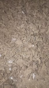 Жмых подсолнечный протеин 36 +