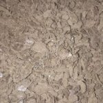 Жмых подсолнечный протеин 36 +