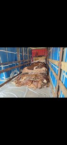 Шкуры КРС БЫК КОРОВА