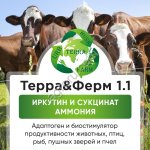 Новый адаптоген и биостимулятор продуктивности животных ТерраФерм 1.1.