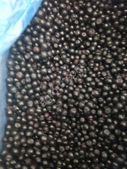 Замороженная голубика Сербия