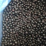 Замороженная голубика Сербия