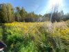 земельный участок 100 соток ЛПХ Суворовский р-н, вблизи Курорта Краинка Тульcкой обл.