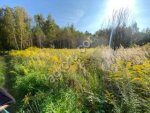 земельный участок 100 соток ЛПХ Суворовский р-н, вблизи Курорта Краинка Тульcкой обл.
