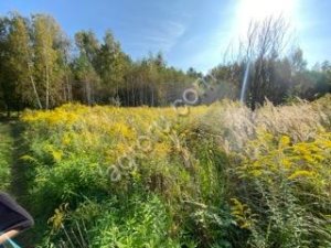 земельный участок 100 соток ЛПХ Суворовский р-н, вблизи Курорта Краинка Тульcкой обл.