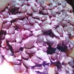 семена хлопка