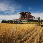 Хозяйство в Тульской области