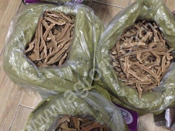 Рейши (резанный гриб)