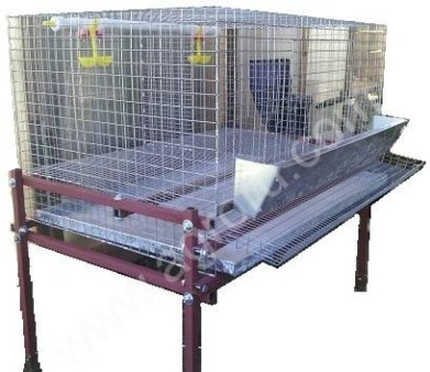 Клетки для кур