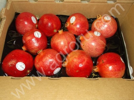 Калифорнийский гранат