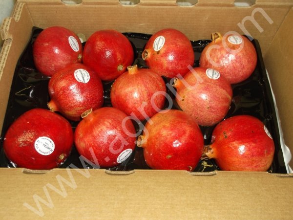 Калифорнийский гранат