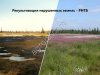 Рекультивация земель