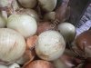 Лук репчатый