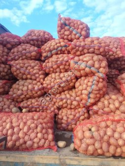 Картофель