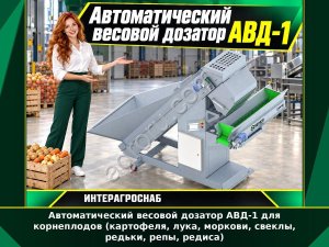 Автоматический весовой дозатор АВД-1 для корнеплодов (картофеля, лука, моркови, свеклы, редьки, репы, редиса)