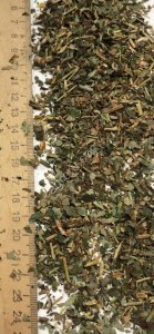 Земляника лист