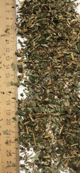 Земляника лист