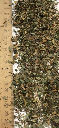 Земляника лист