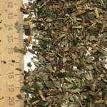 Земляника лист