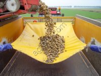 Стоп шок - Анти удар, Анти Шок Про