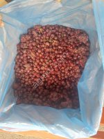 Вишня ОБЛАЧИНКА замороженна Сербия