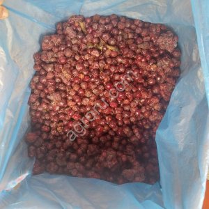 Вишня ОБЛАЧИНКА замороженна Сербия