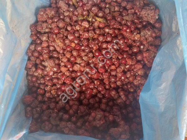 Вишня ОБЛАЧИНКА замороженна Сербия