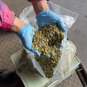 Семечка тыквы