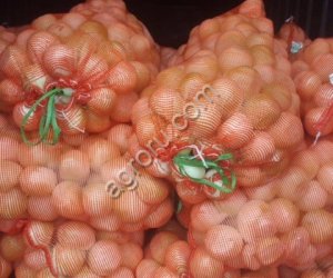 Очищенный лук