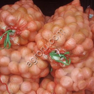 Очищенный лук