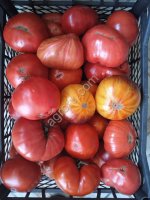 (Томаты) Помидоры