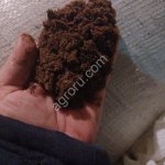 Мука мясокостная бройлерная