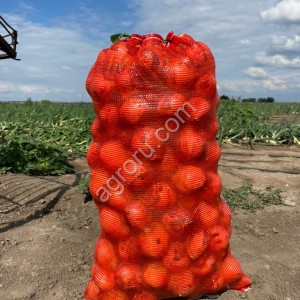 Лук