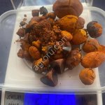 поджелудочные камни КРС