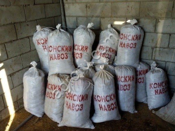 Конский навоз в мешках 50 литров