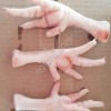 Лапки куриные на экспорт категории А