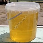 мед Донниковый