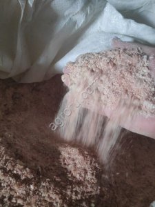 Полова кукурузы