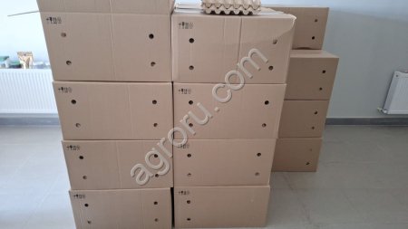 Яйцо пищевое (разные сорта)