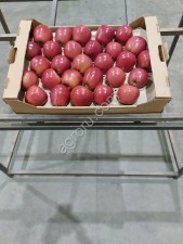 Яблоко