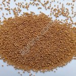 Горчица белая после фотосепаратора 7,5 тонн