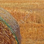 Сетка сеновязальная