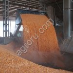 Перевалка зерна в Краснодарском крае