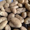 Картофель свежий урожай