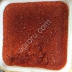 Красная икра. Камчатка. Путина 2024.